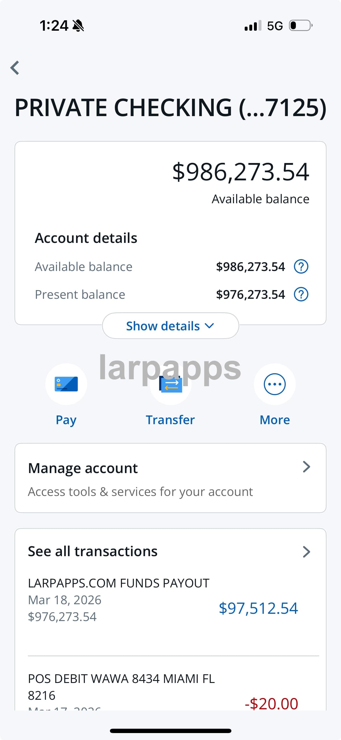 Chase banking screen