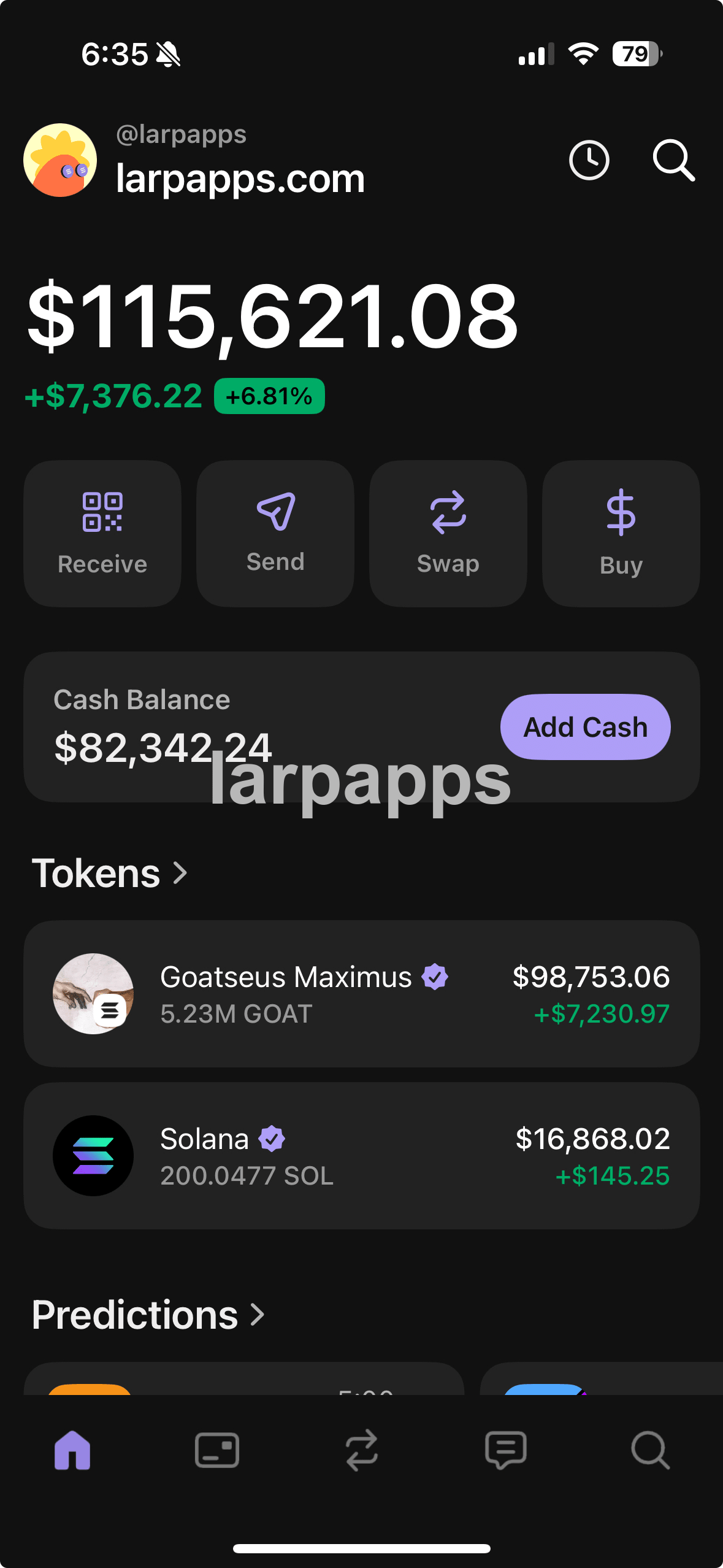 Phantom Wallet home overview screen preview